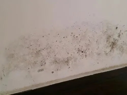 农村自建房夏季地面潮湿是什么原因？防水需要怎么做才能避免回潮？插图