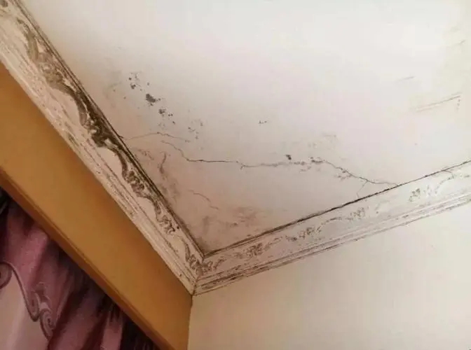 墙面潮湿严重，墙皮一直往下掉，应该怎么解决？插图